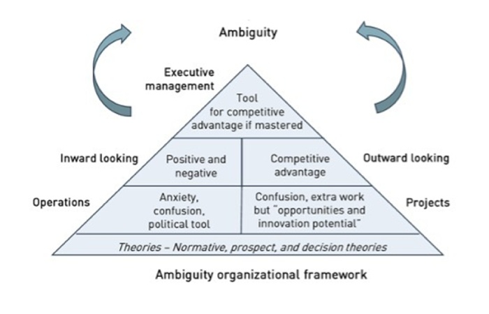 The ambiguity business triangle